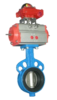 DSS Disc Butterfly Valve